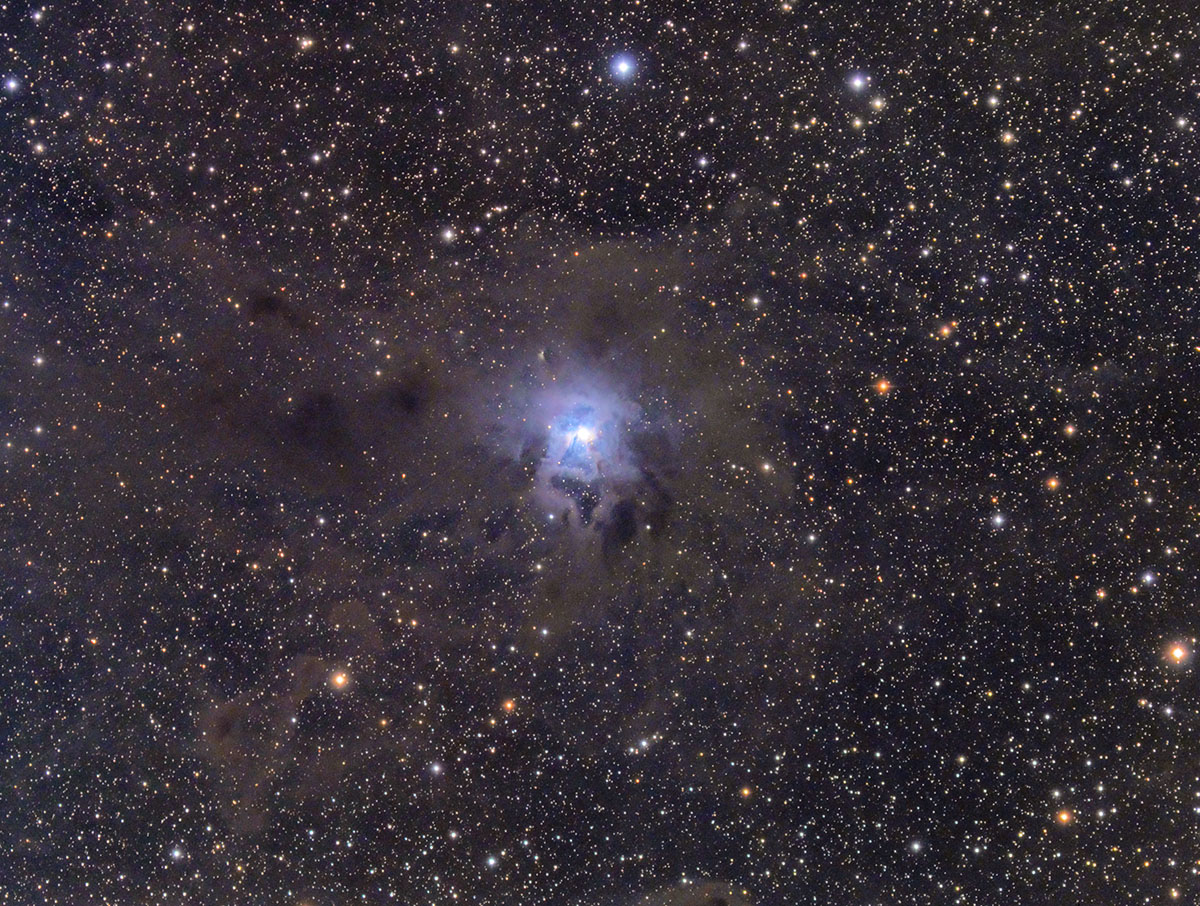 NGC  7023 - Iris nebula